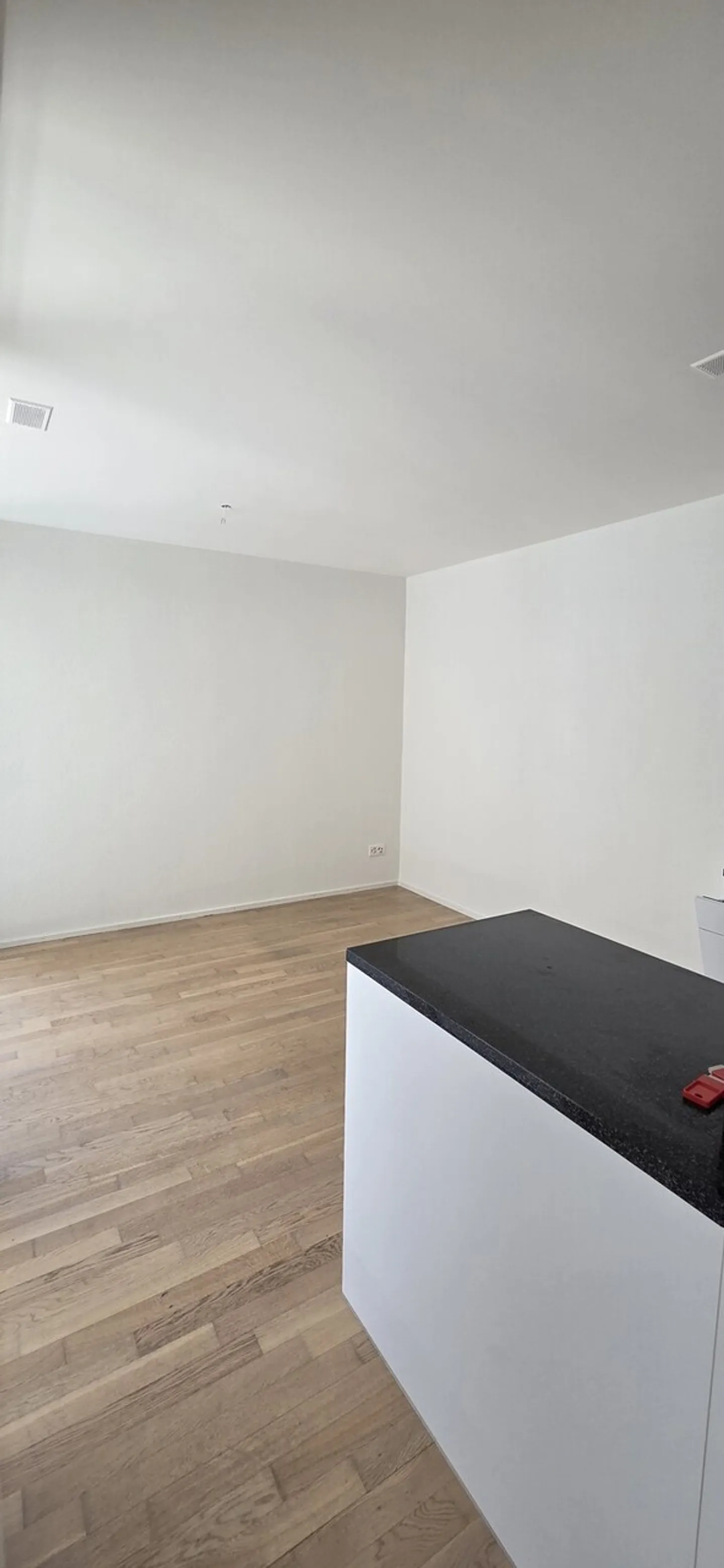3 ½ Room Apartment, 8500 Frauenfeld - Photo 5 of 13