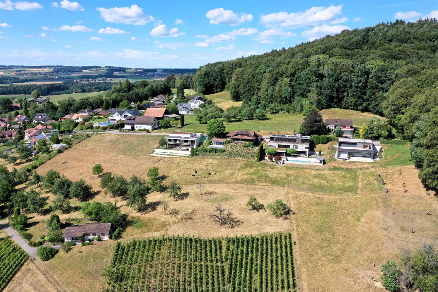 Terrain à bâtir dans un emplacement privilégié à Ottoberg - Photo 1 sur 7