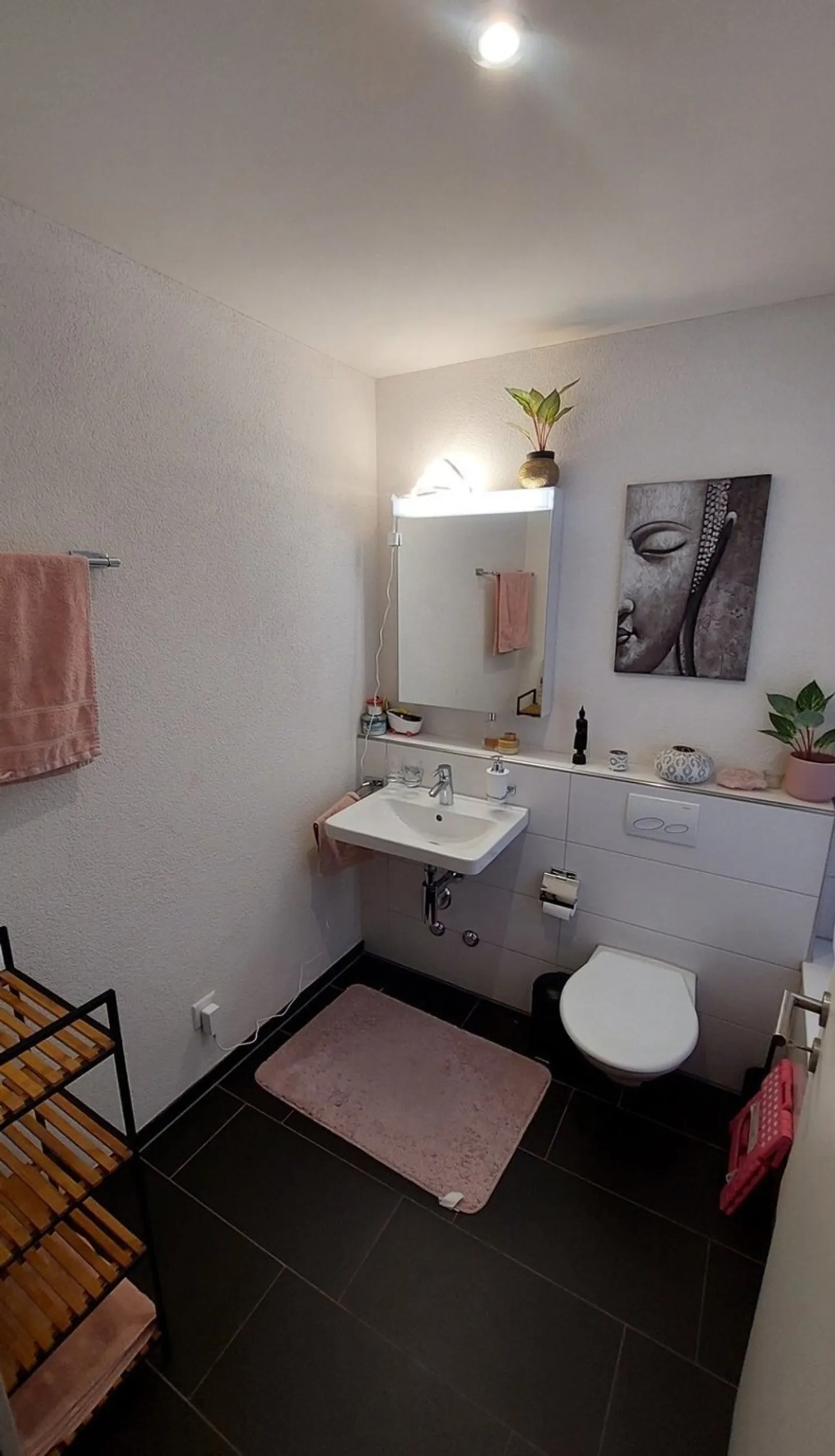 Central Apartment in Niederhasli - Photo 4 of 6