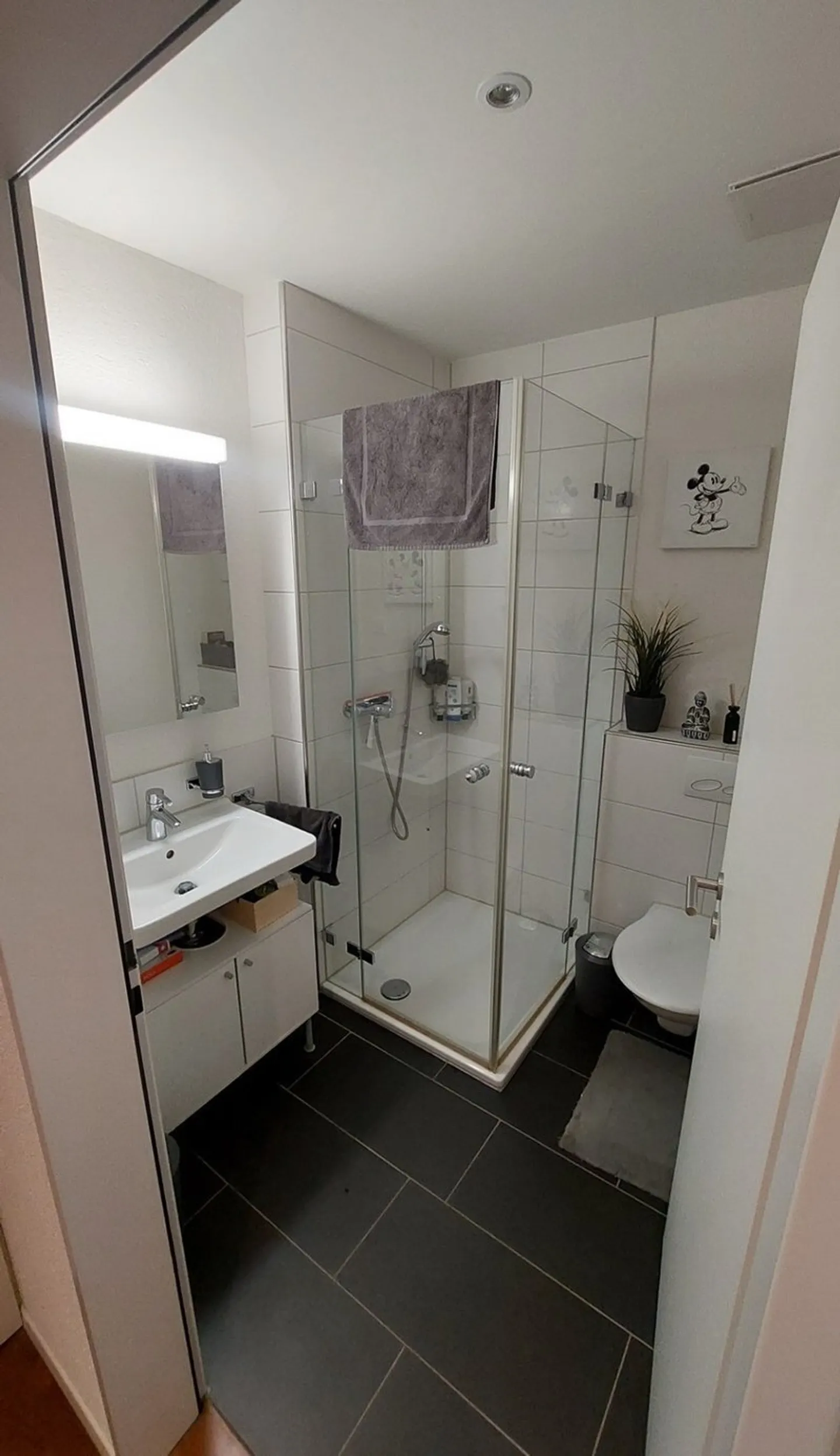 Central Apartment in Niederhasli - Photo 5 of 6