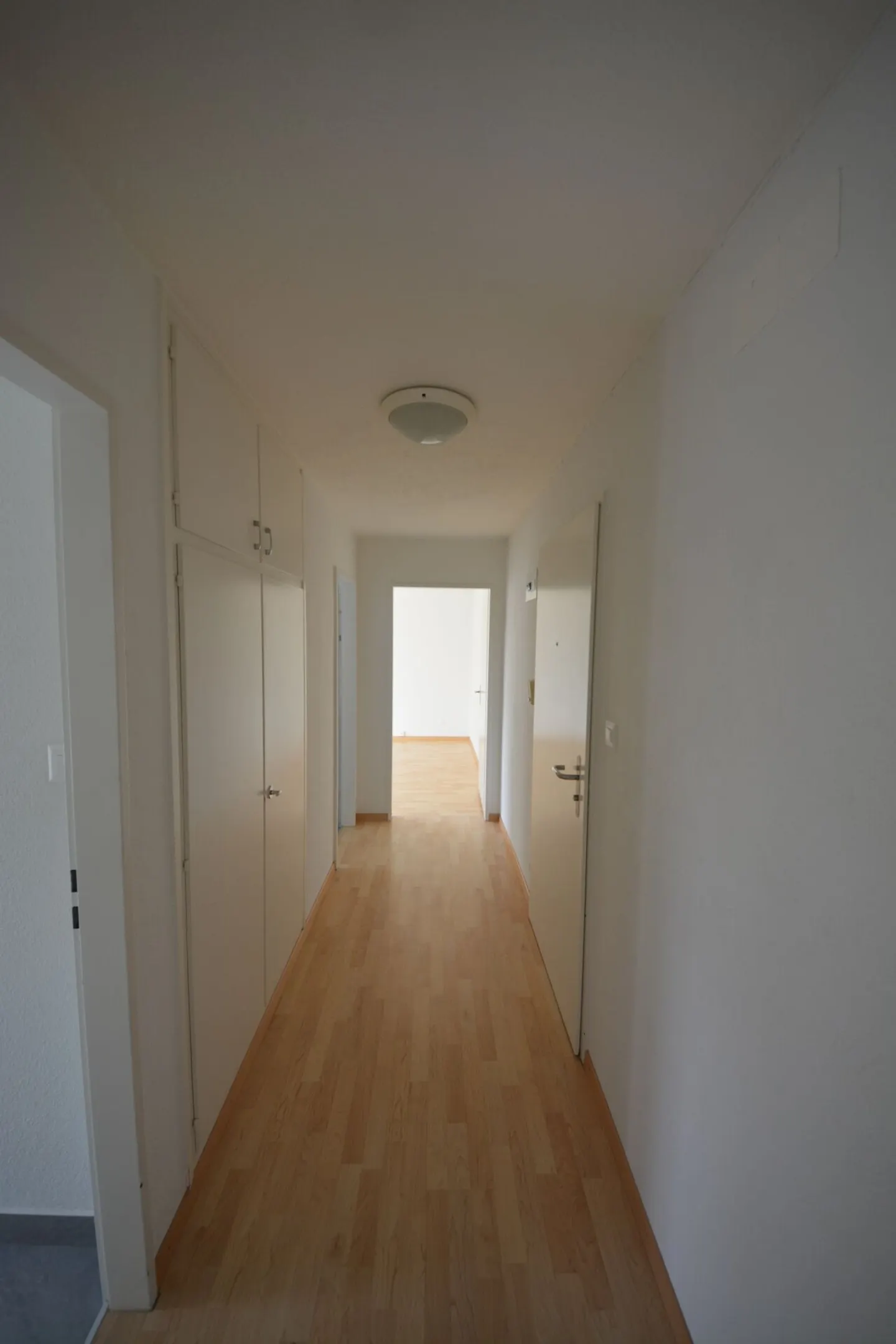 Bellissimo appartamento di 2 stanze cerca nuovo inquilino! - Foto 5 di 10