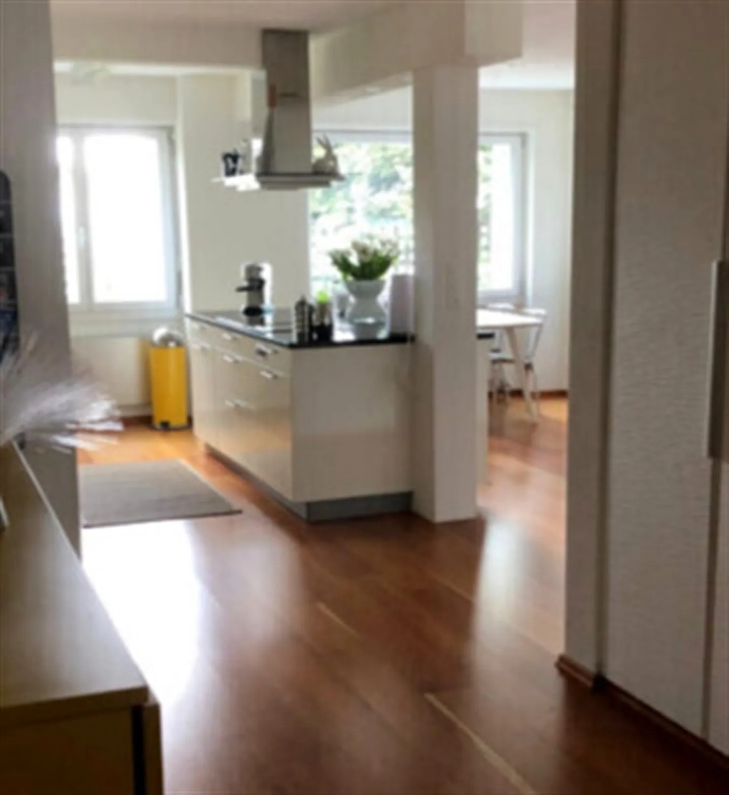 APPARTAMENTO 5½ STANZE A OSTERMUNDIGEN (BE), ARREDATO, TEMPORANEO - Foto 3 di 14