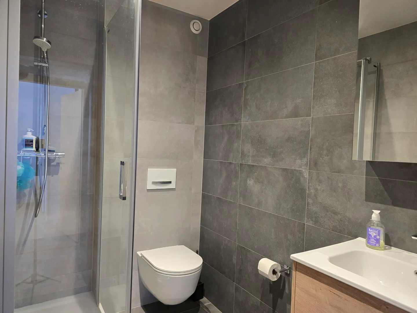 Appartamento - 4.5 locali - Monthey - Disponibilità immediata - ESCLUSIVITÀ - Foto 11 di 13