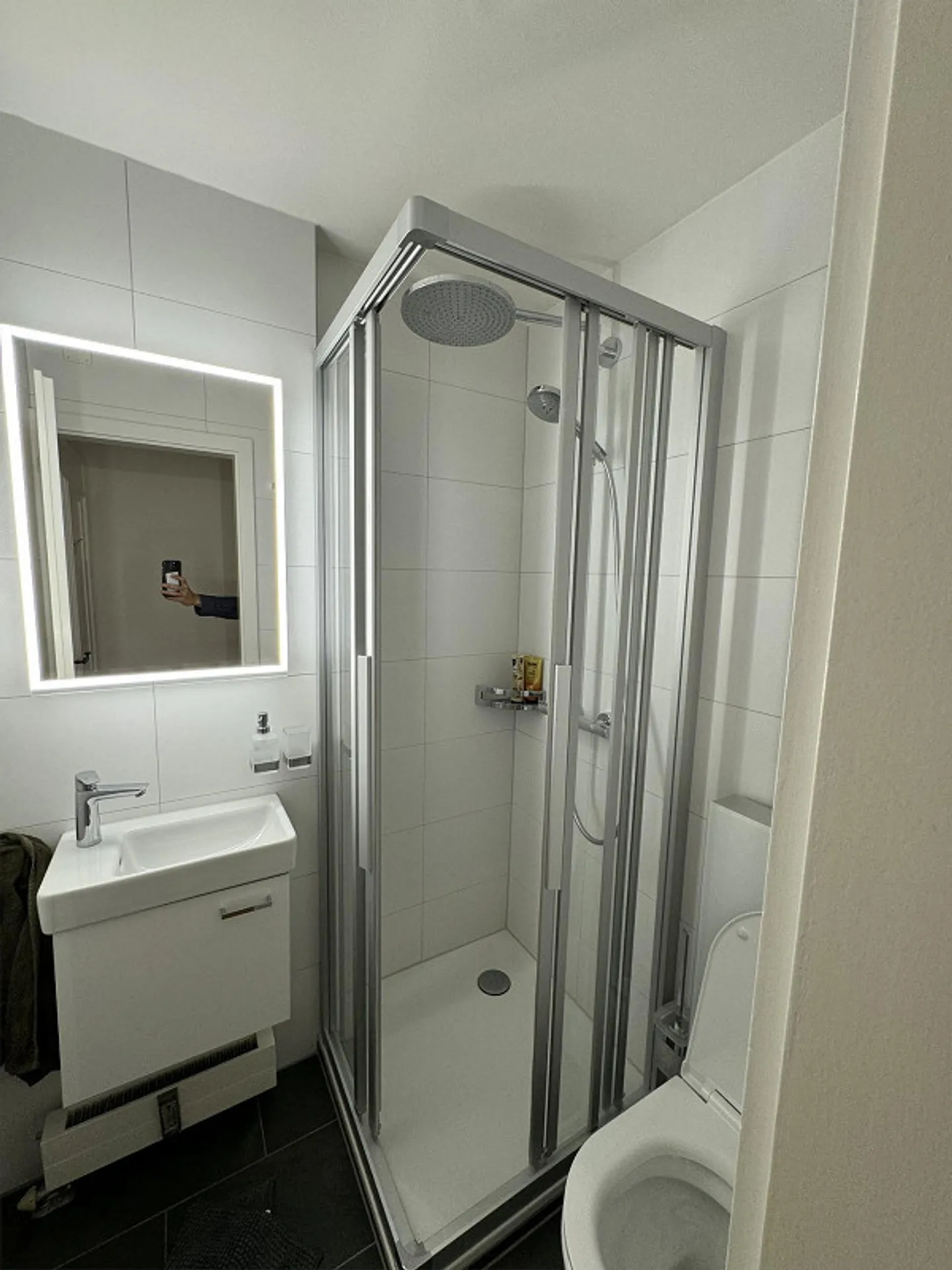 Appartement 3 pièces directement au bord du lac - Photo 7 sur 8