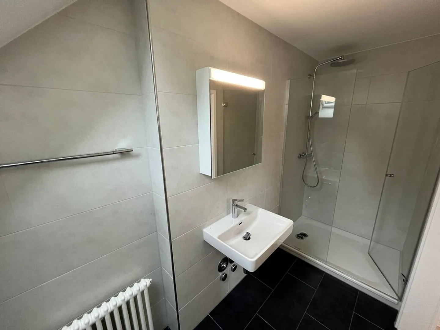 Un mese gratuito nella nuova casa a Küsnacht! - Foto 4 di 5