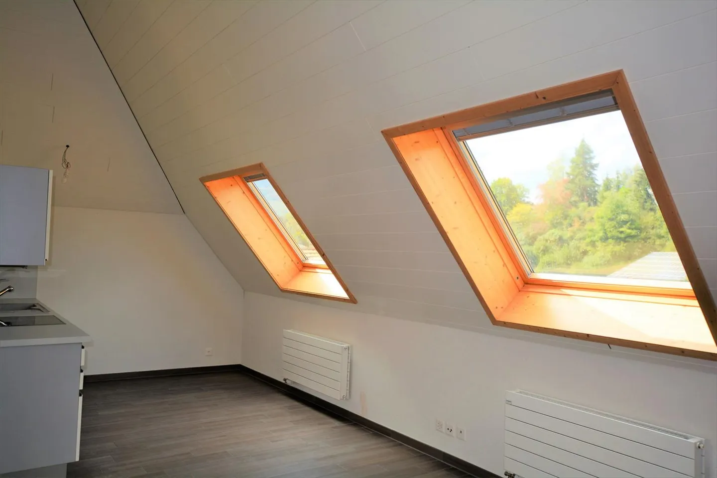 Studio 1 room - Photo 3 of 9
