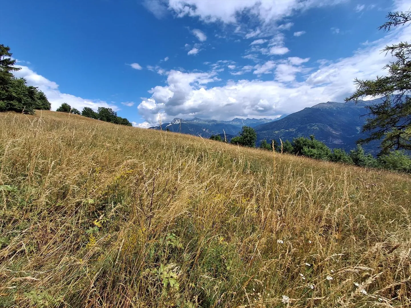 Terreno edificabile - Foto 1 di 1