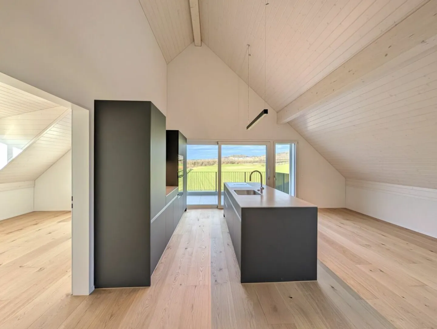 Vue dégagée sur la zone agricole et le Uetliberg garantie! - Photo 2 sur 14