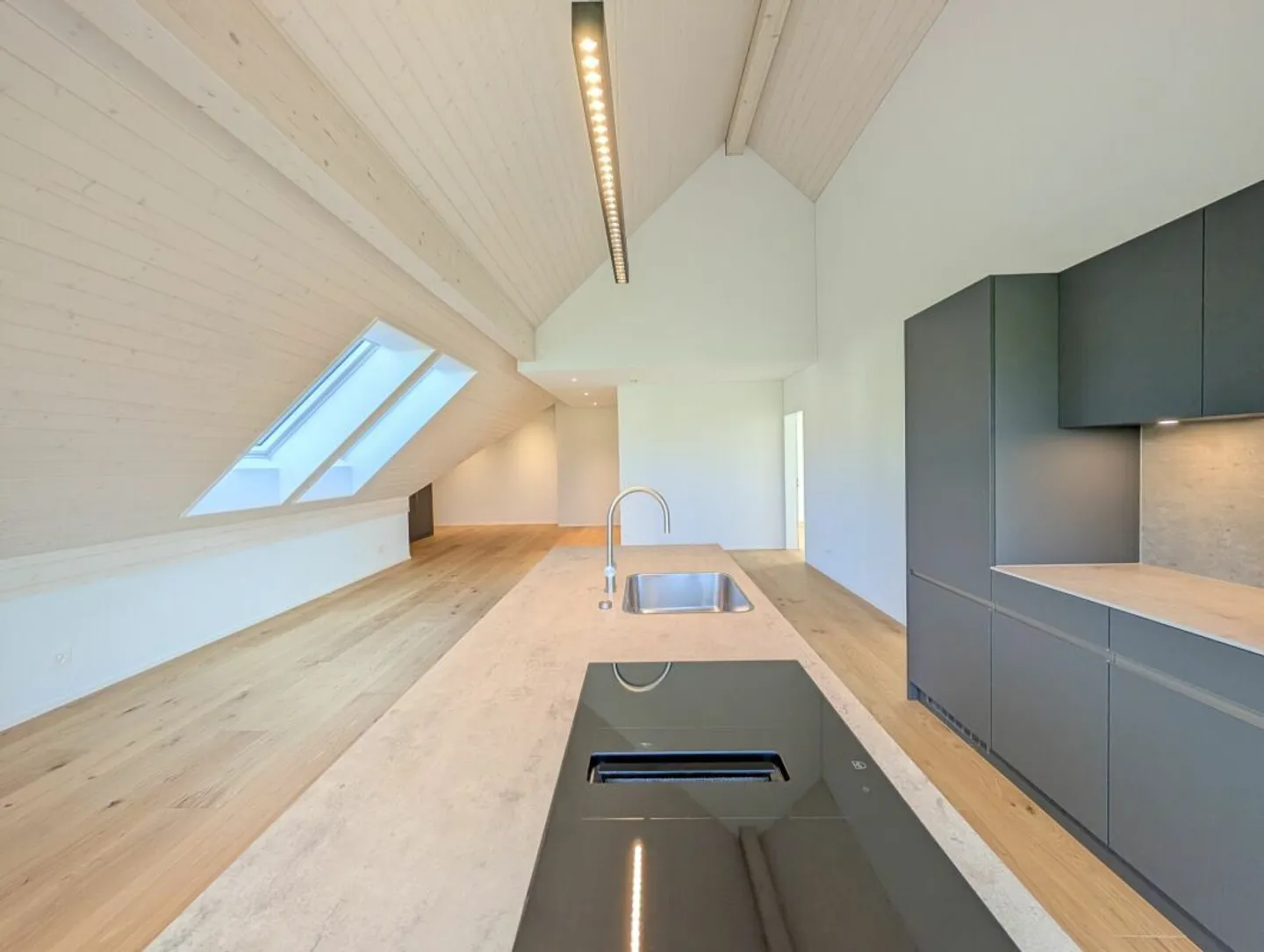 Vue dégagée sur la zone agricole et le Uetliberg garantie! - Photo 4 sur 14