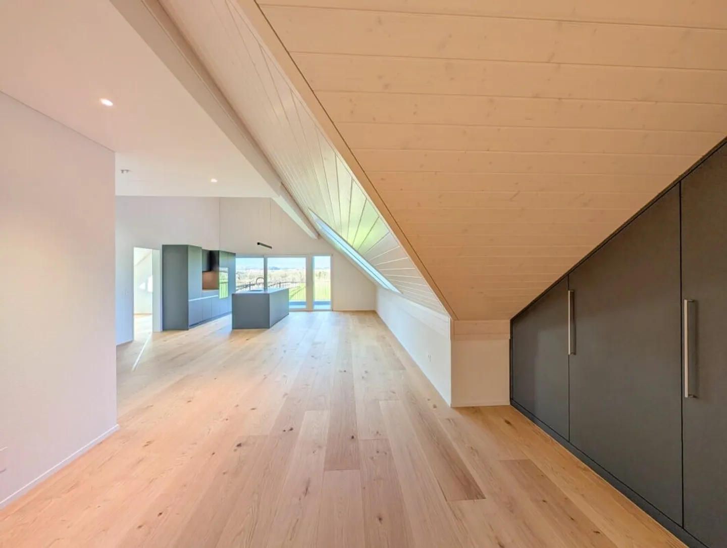 Vue dégagée sur la zone agricole et le Uetliberg garantie! - Photo 6 sur 14