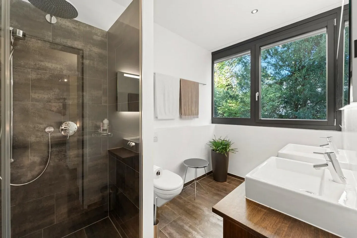 Dream apartment in private park near Schaffhausen old town - Photo 4 of 15