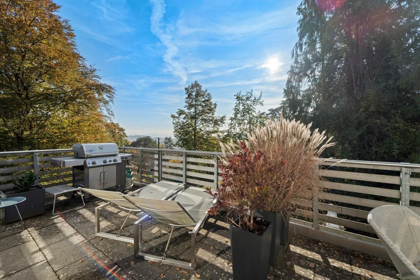 Dream apartment in private park near Schaffhausen old town - Photo 10 of 15