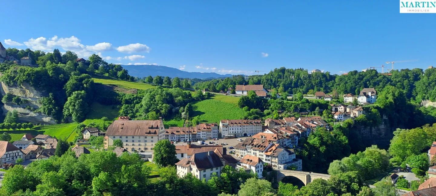 Beautiful penthouse apartment for sale in the heart of Freiburg's old town - Photo 10 of 10