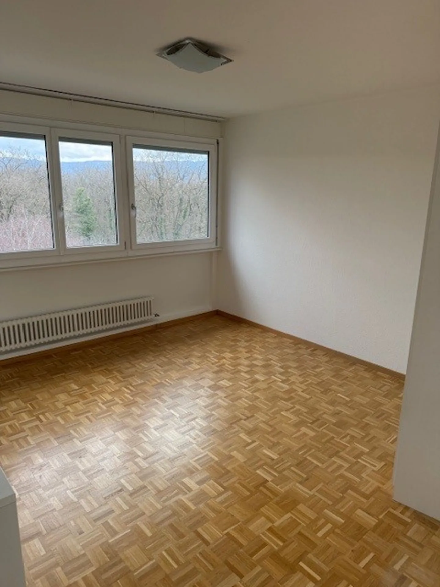 Peaceful Living in Onex! - Photo 8 of 10