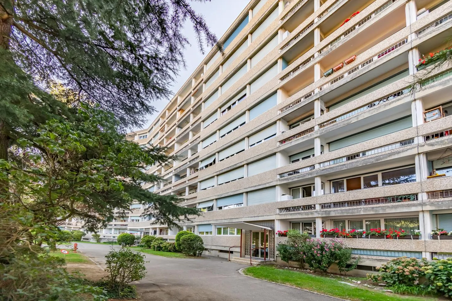 Peaceful Living in Onex! - Photo 5 of 10