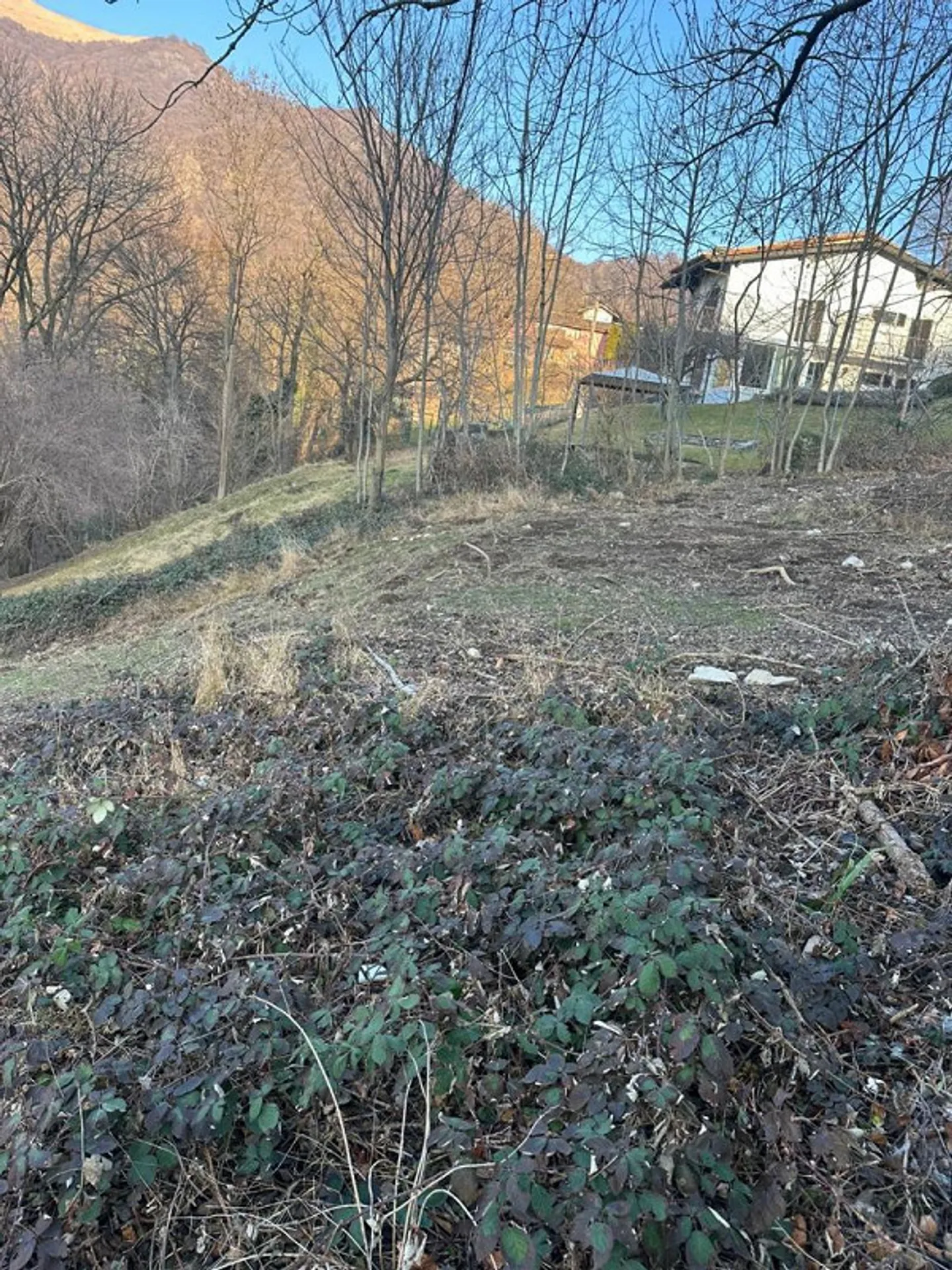 Buildable land of 623 m2 very quiet, sunny with beautiful... - Photo 8 of 18