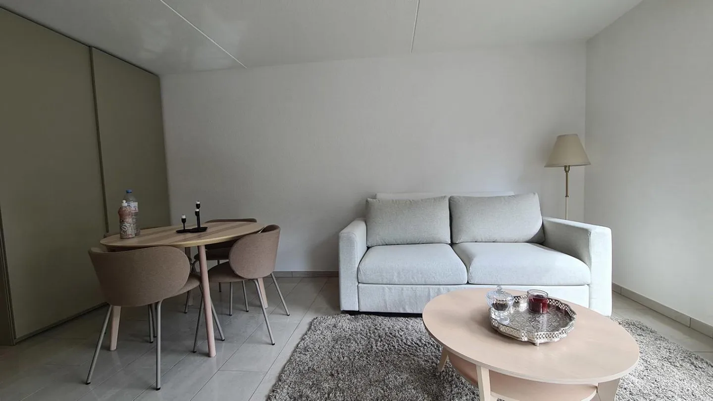 Charming 1 Room Apartment with Spectacular View in Feusisberg - Photo 5 of 17