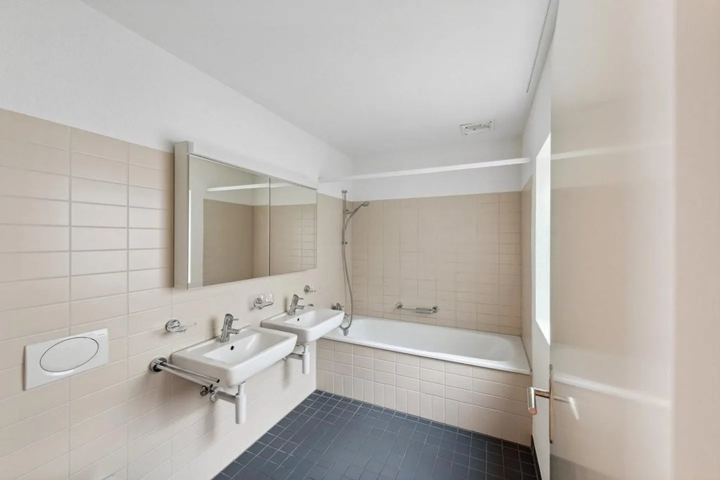 Vivere a contatto con la natura alle porte di Zurigo - Foto 5 di 7