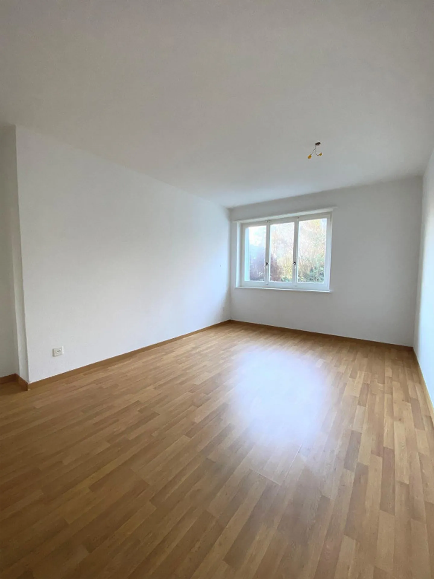 Bright 3-room apartment on the ground floor in a central location in Dietikon - Photo 3 of 9