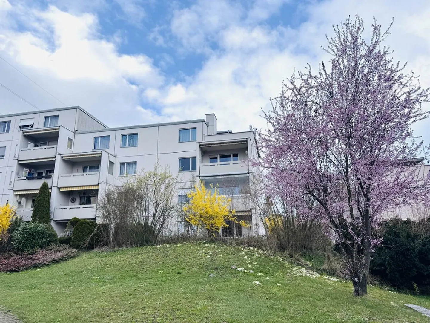 Idyllic Living - Photo 1 of 7