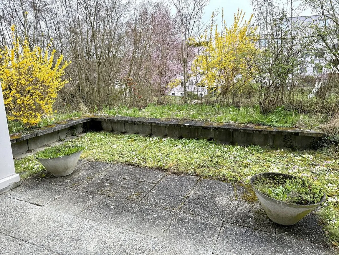 Idyllic Living - Photo 7 of 7