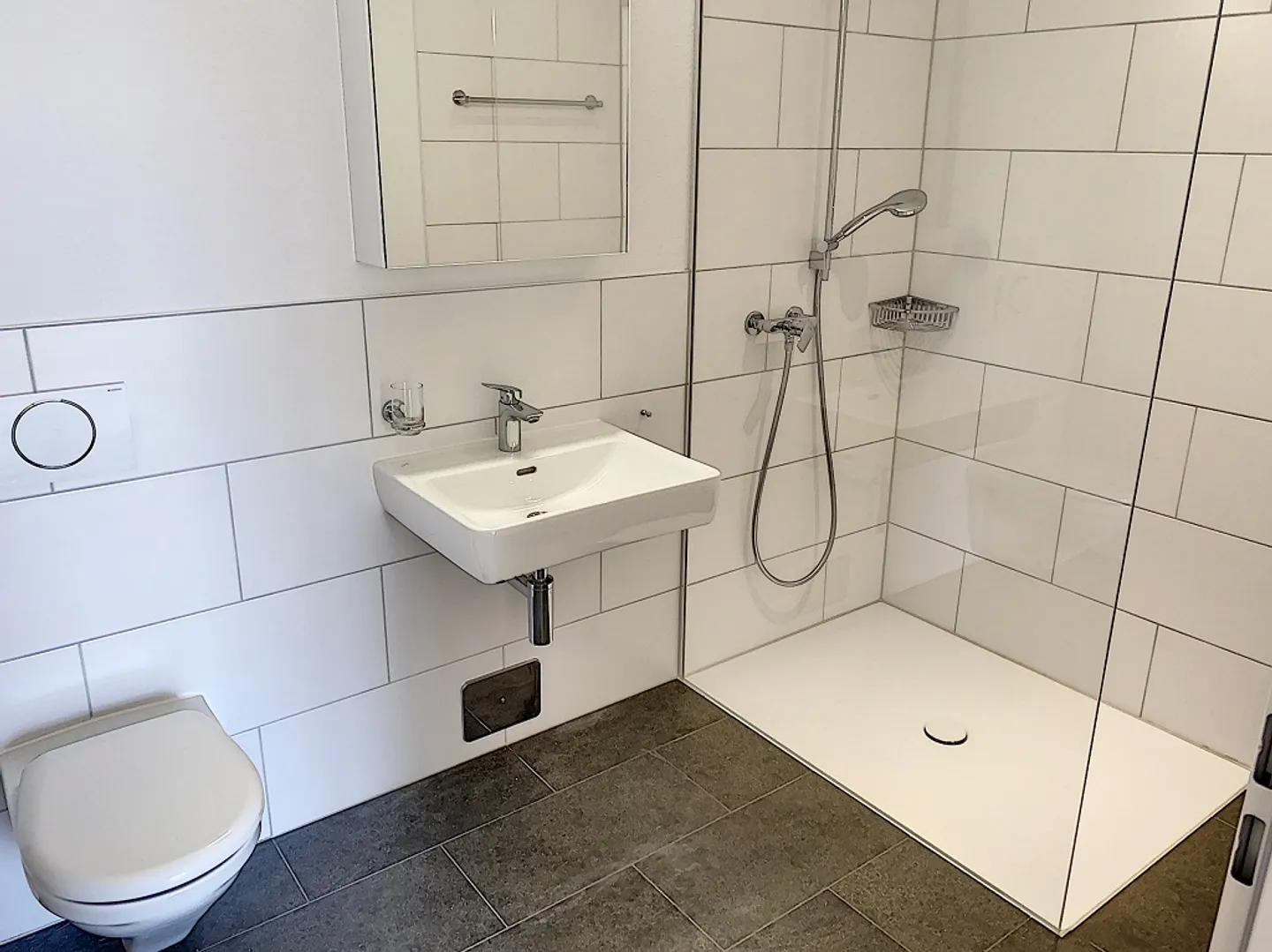 Appartement 4.5 pièces - Photo 2 sur 7