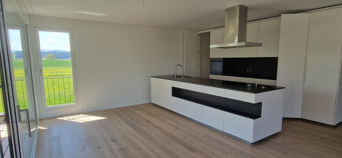 First rental! New, modern 4 1/2-room apartment in Buttisholz - Photo 1 of 13