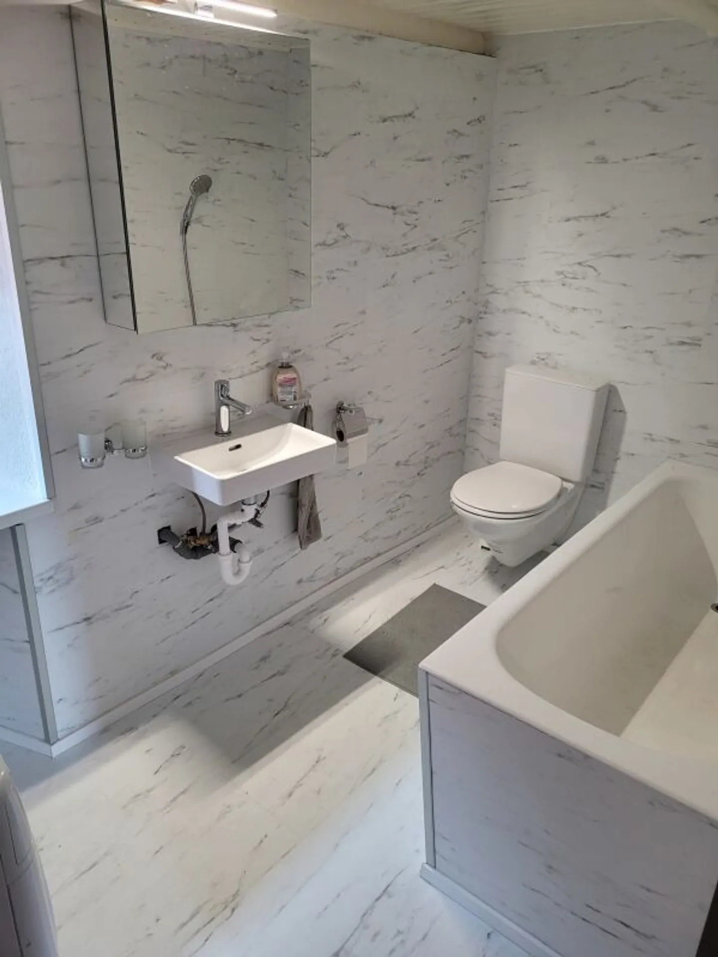 Two - 4 ½ Room House, Garden, and Magnificent Lake View - Photo 8 of 8