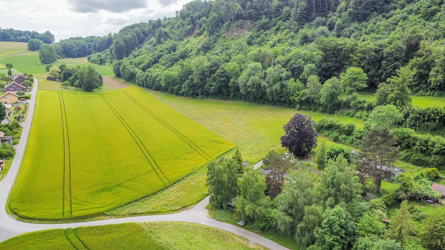 Cottage Charmant en Nature - Photo 14 sur 18