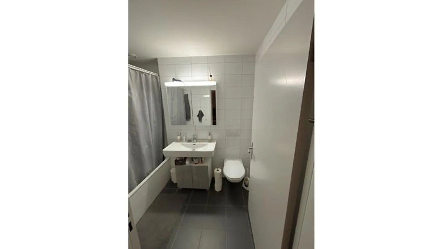 2½ ROOM APARTMENT IN LIEBEFELD (BE), FURNISHED, TEMPORARY - Photo 5 of 7