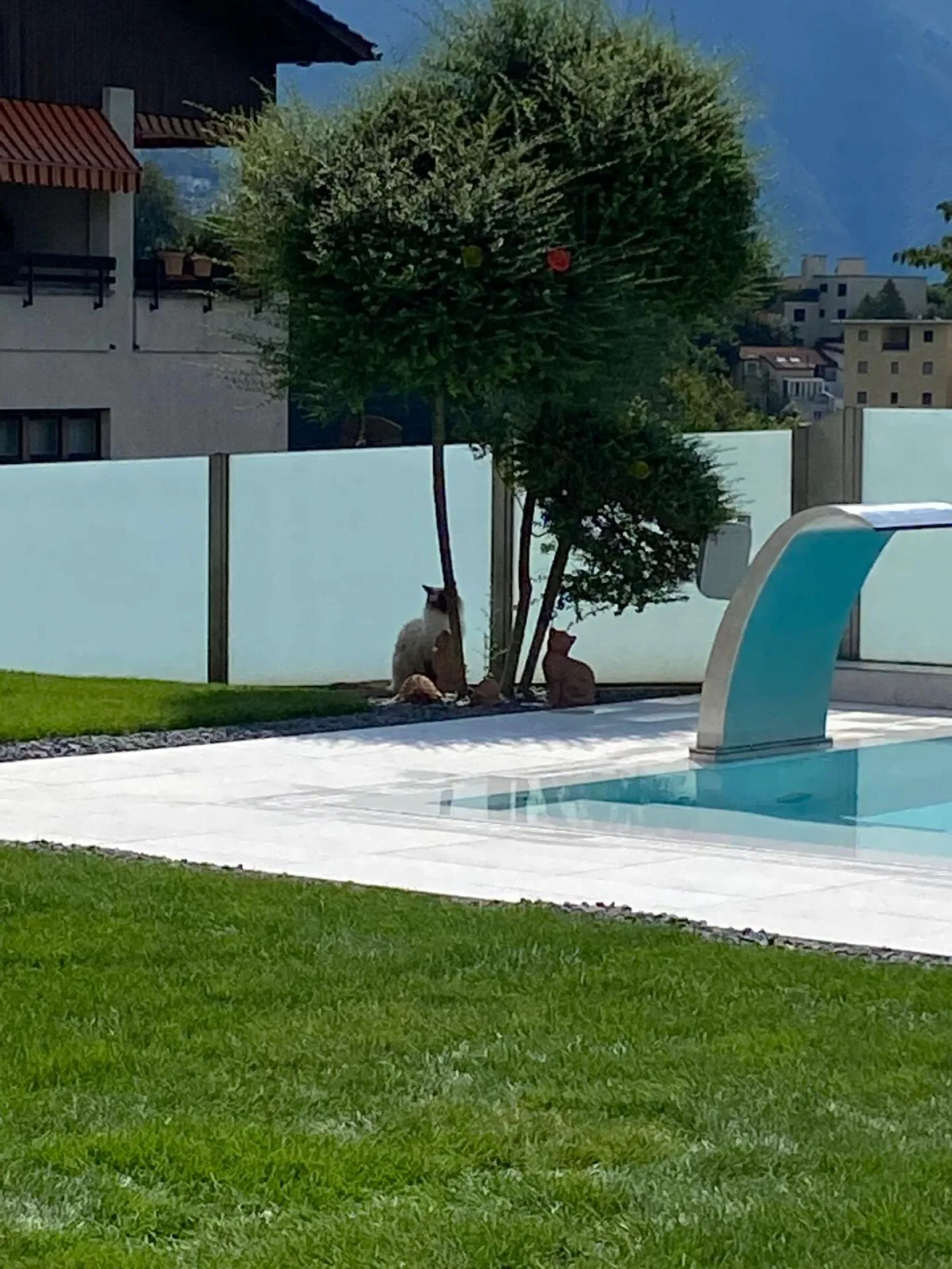 Villa moderna con piscina e domotica avanzata - Unicità e comfort a portata di mano - Foto 7 di 17