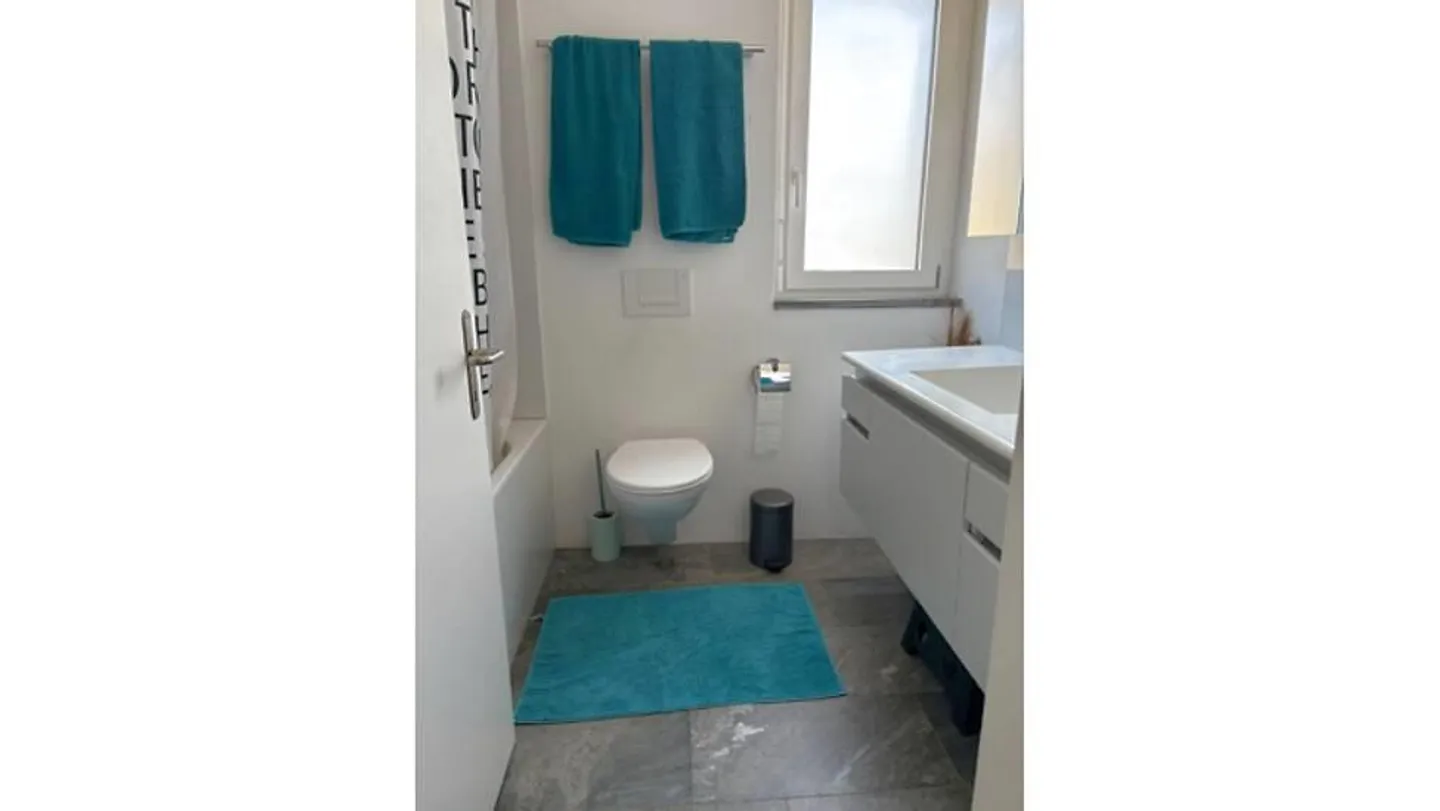 6½ ROOM HOUSE IN MEIKIRCH (BE), FURNISHED, TEMPORARY - Photo 8 of 10
