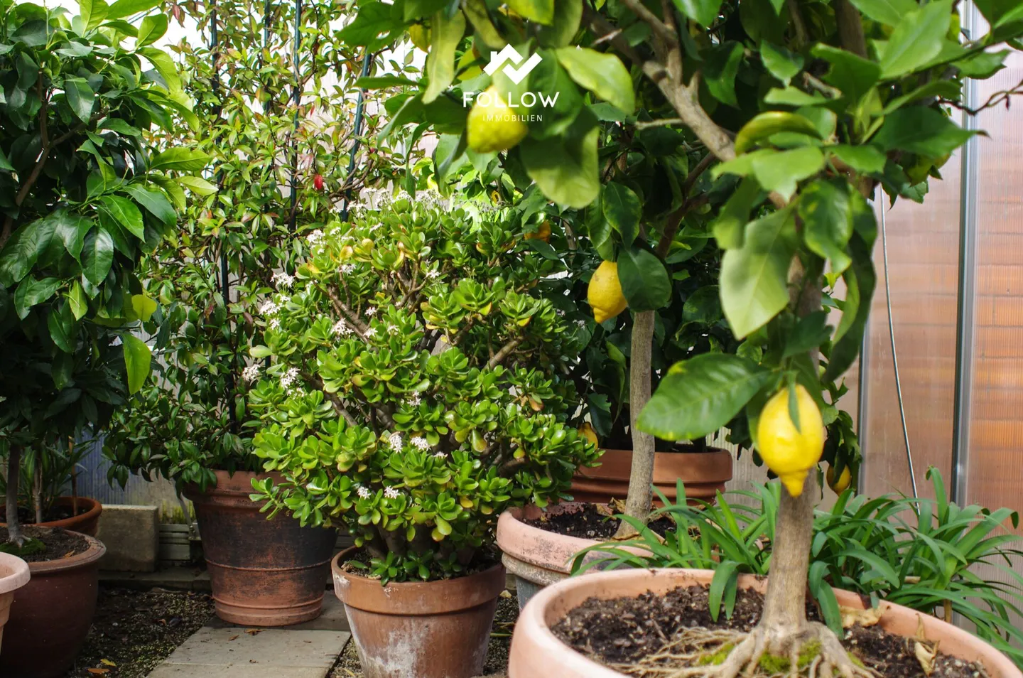 Corner House with Private Garden Paradise - Photo 23 of 30