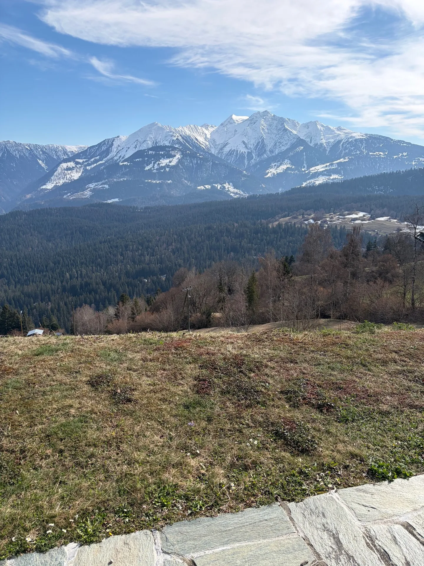 Appartamento affascinante 3.5 locali con vista montagna a Fidaz - Foto 14 di 22