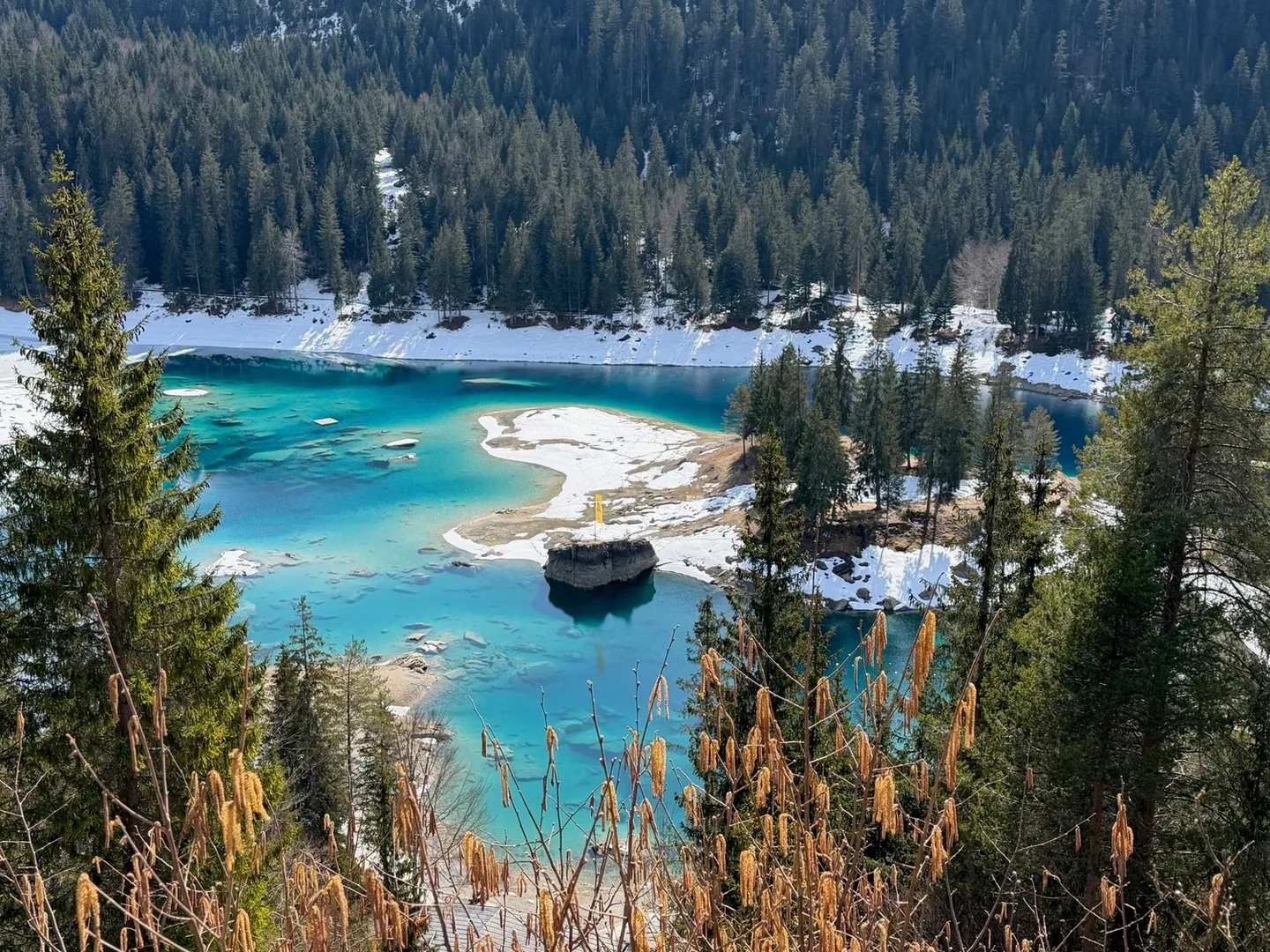 Appartamento affascinante 3.5 locali con vista montagna a Fidaz - Foto 17 di 22
