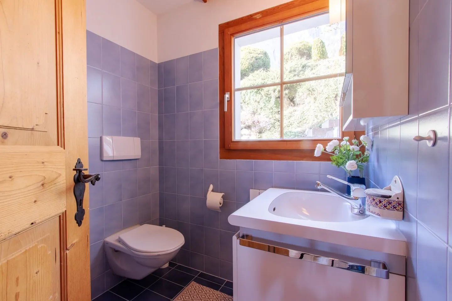 Appartamento affascinante 3.5 locali con vista montagna a Fidaz - Foto 10 di 22