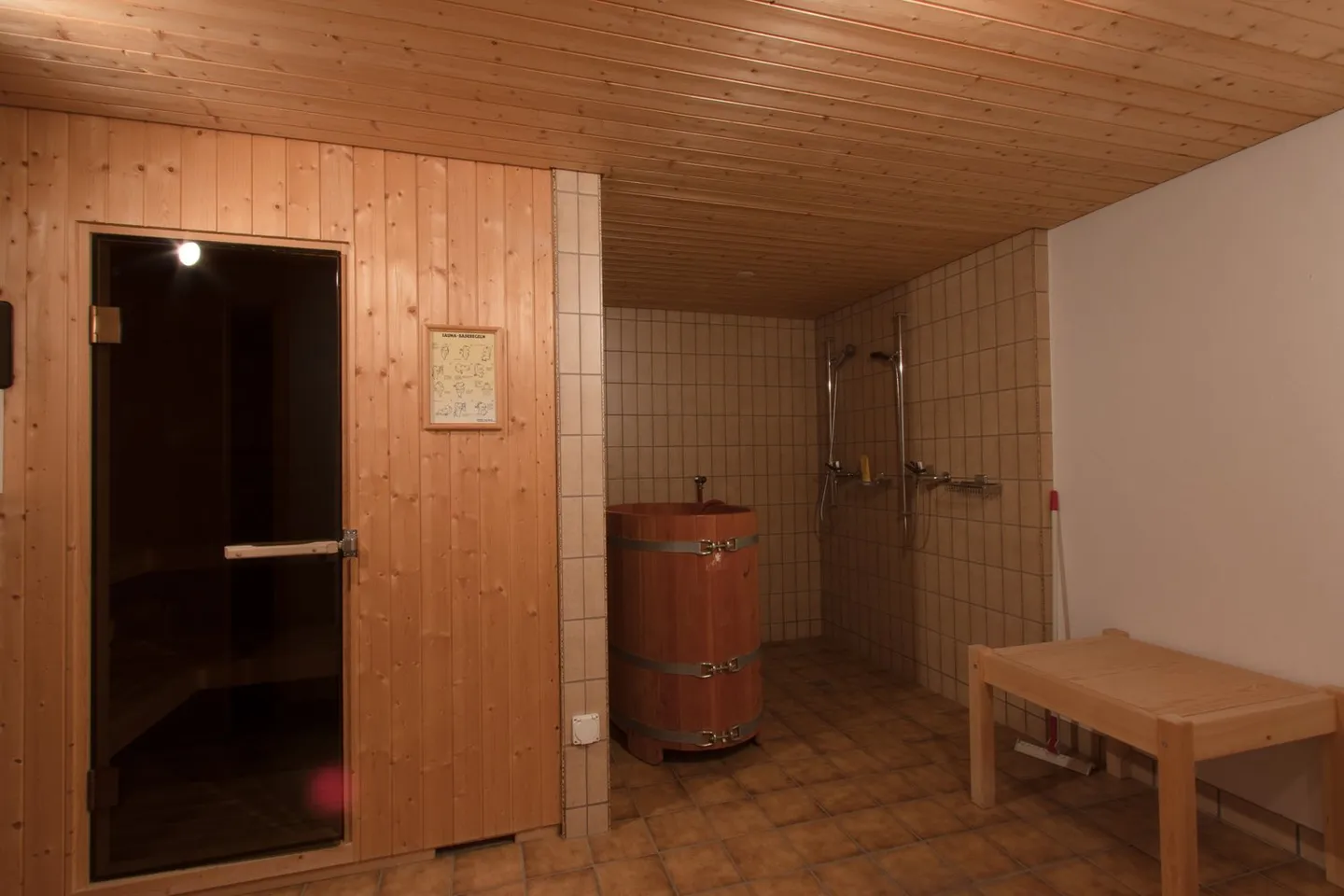 Appartamento affascinante 3.5 locali con vista montagna a Fidaz - Foto 19 di 22