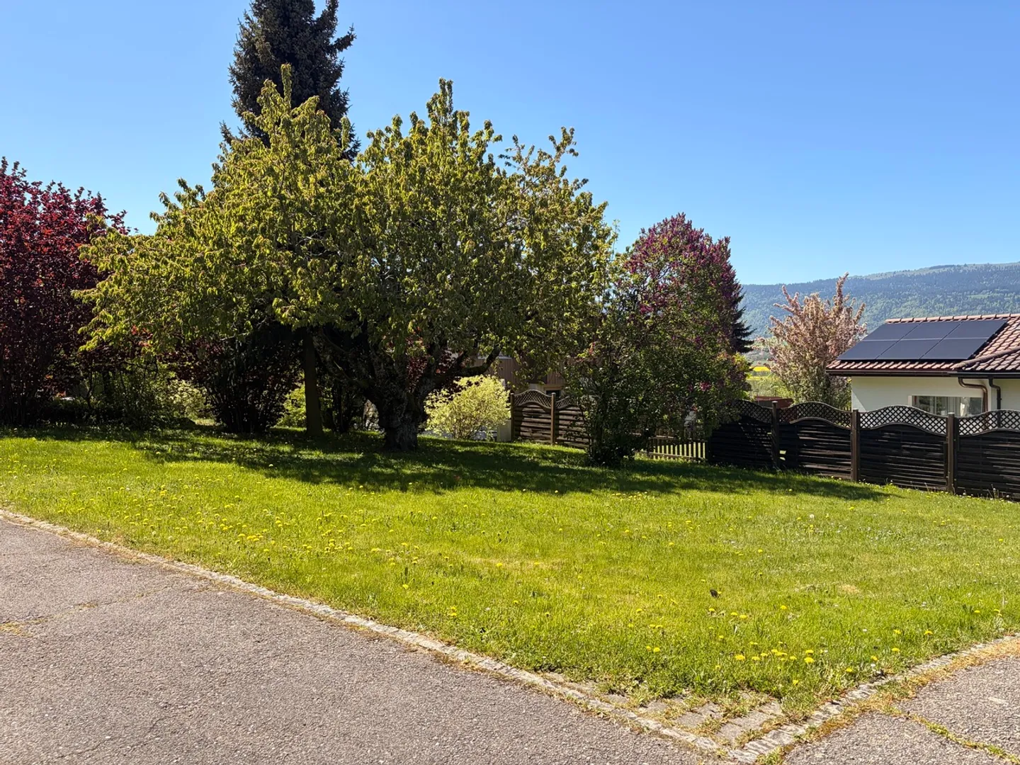 Unique Family Villa with Potential - Photo 3 of 13