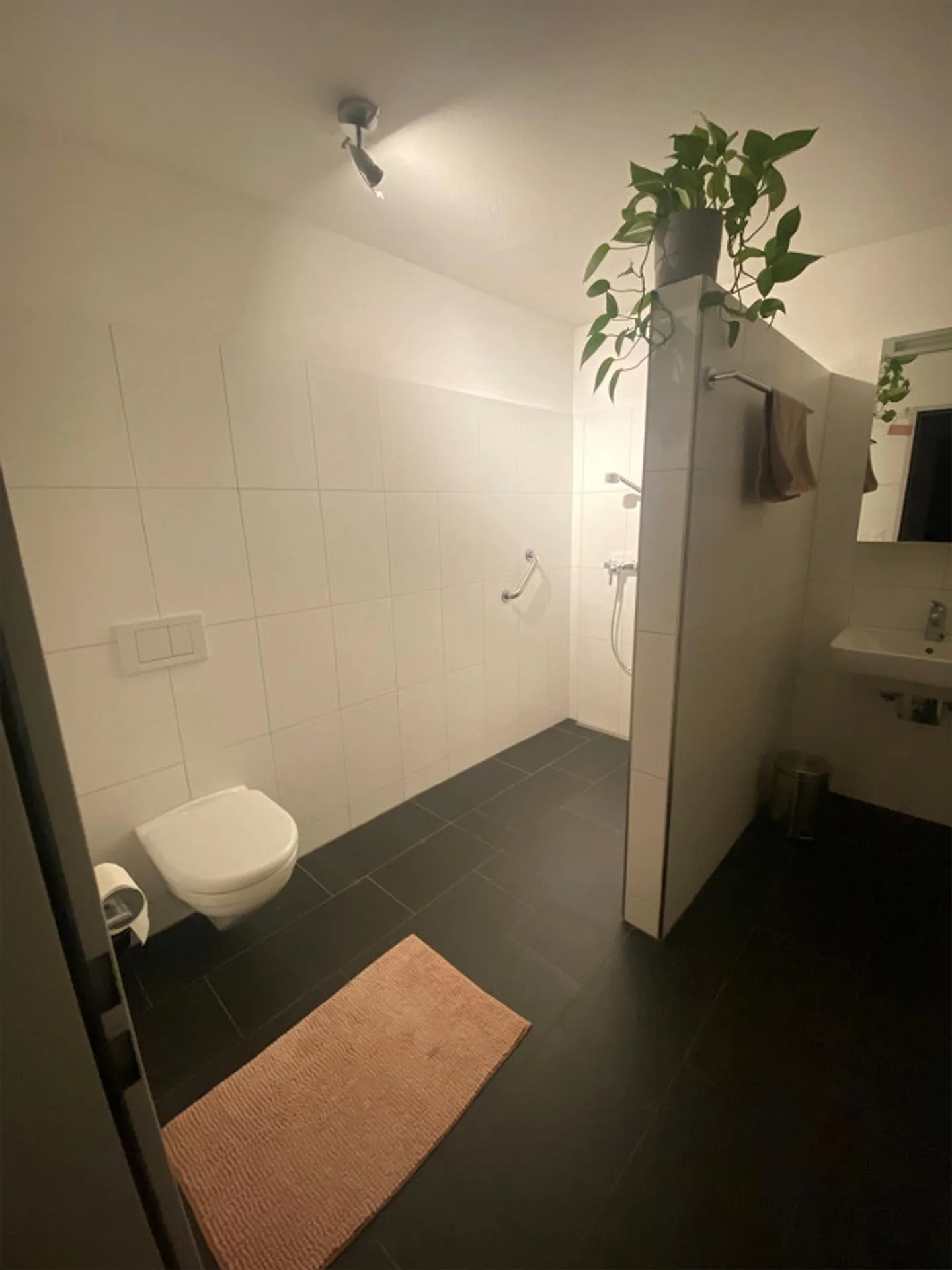 Single-family house in a beautiful location - Photo 6 of 12