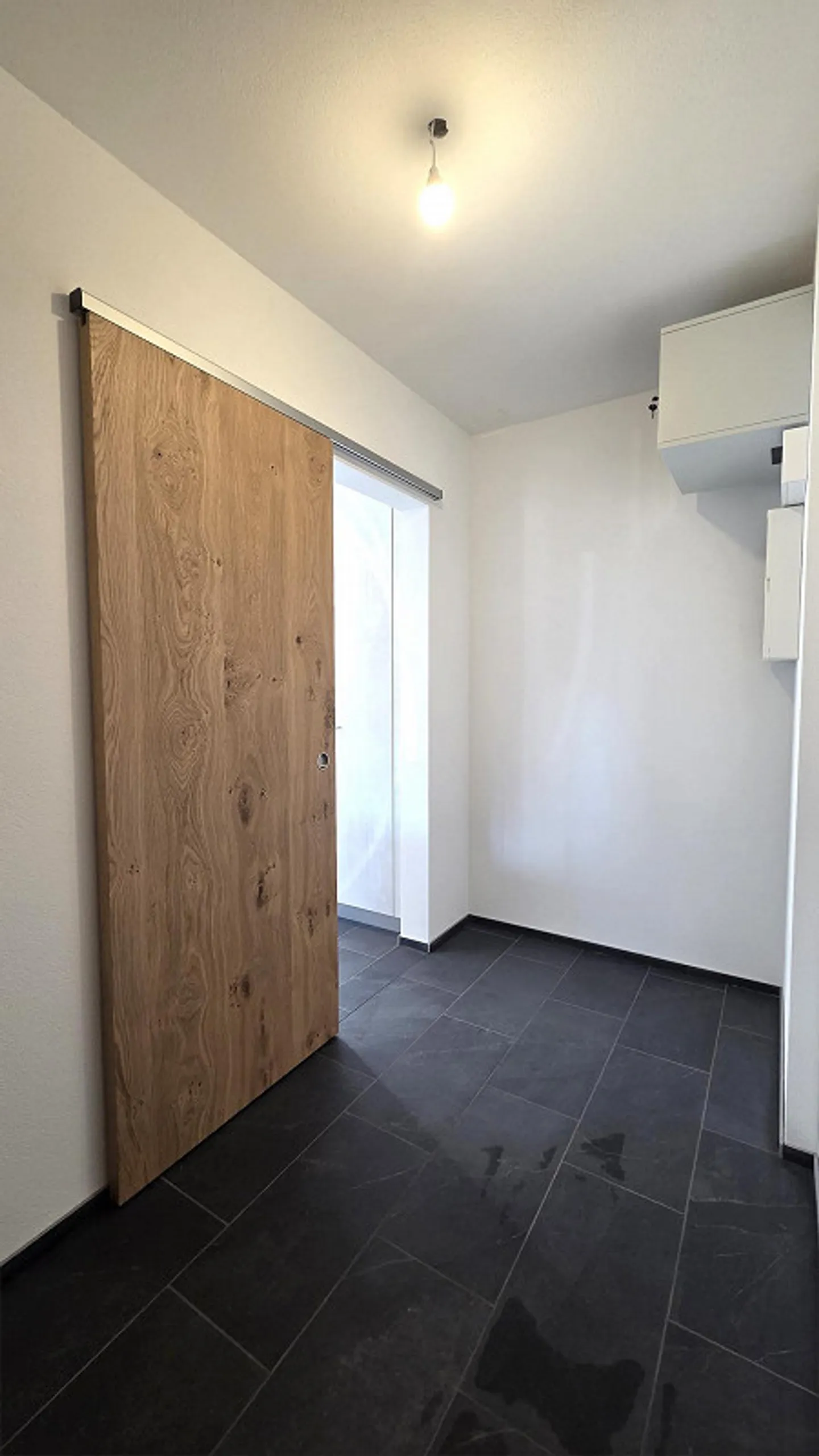 Exclusive new apartments for rent in Appenzell - Photo 4 of 18