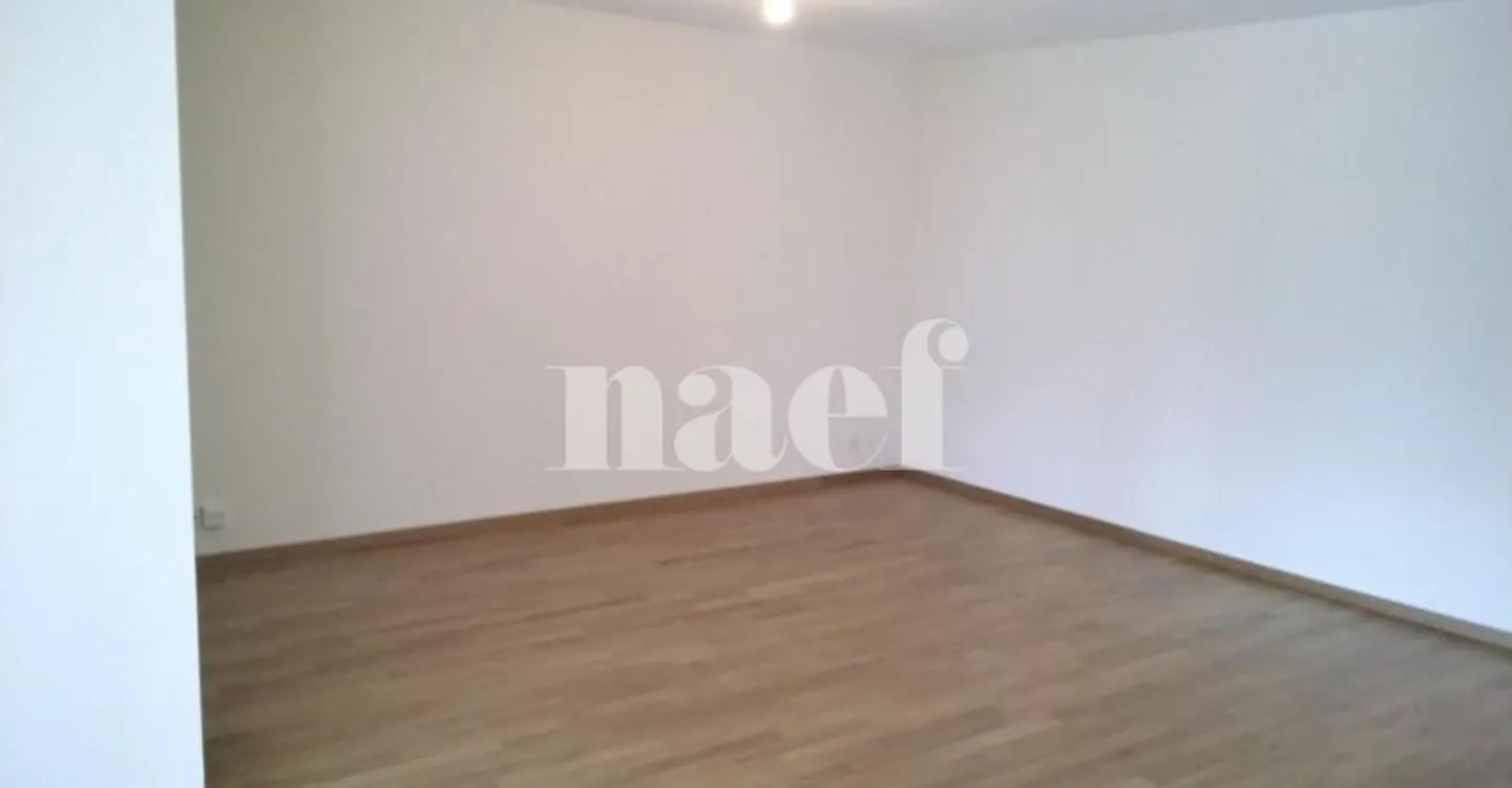 Ampio appartamento di 5 locali a Charmilles - Foto 5 di 11