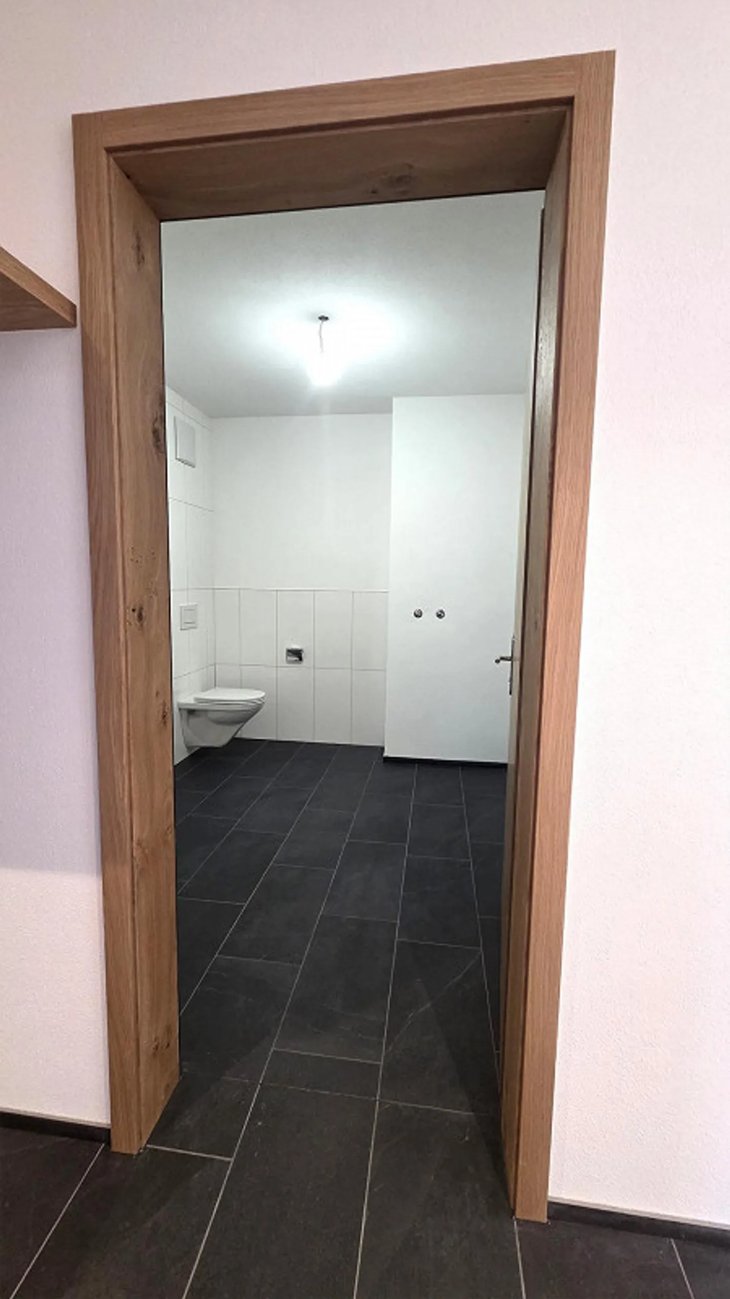 Exclusive new apartments for rent in Appenzell - Photo 15 of 18