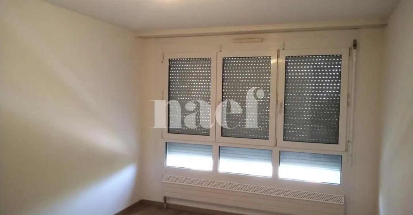 Ampio appartamento di 5 locali a Charmilles - Foto 7 di 11