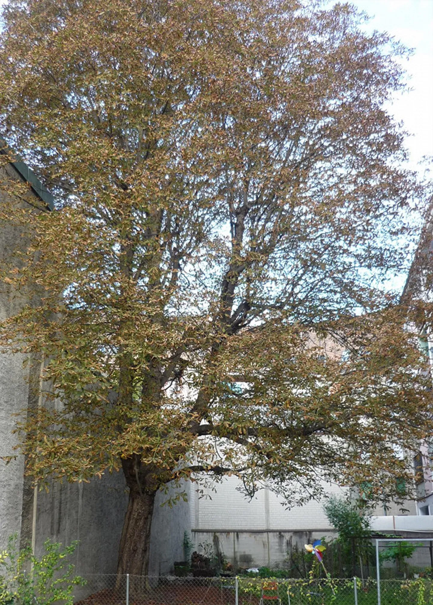 Simple 2-room old building apartment - Photo 2 of 6