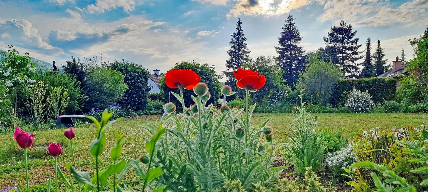A Home in the Green with a View in Hofstetten-Flüh SO - Photo 8 of 13