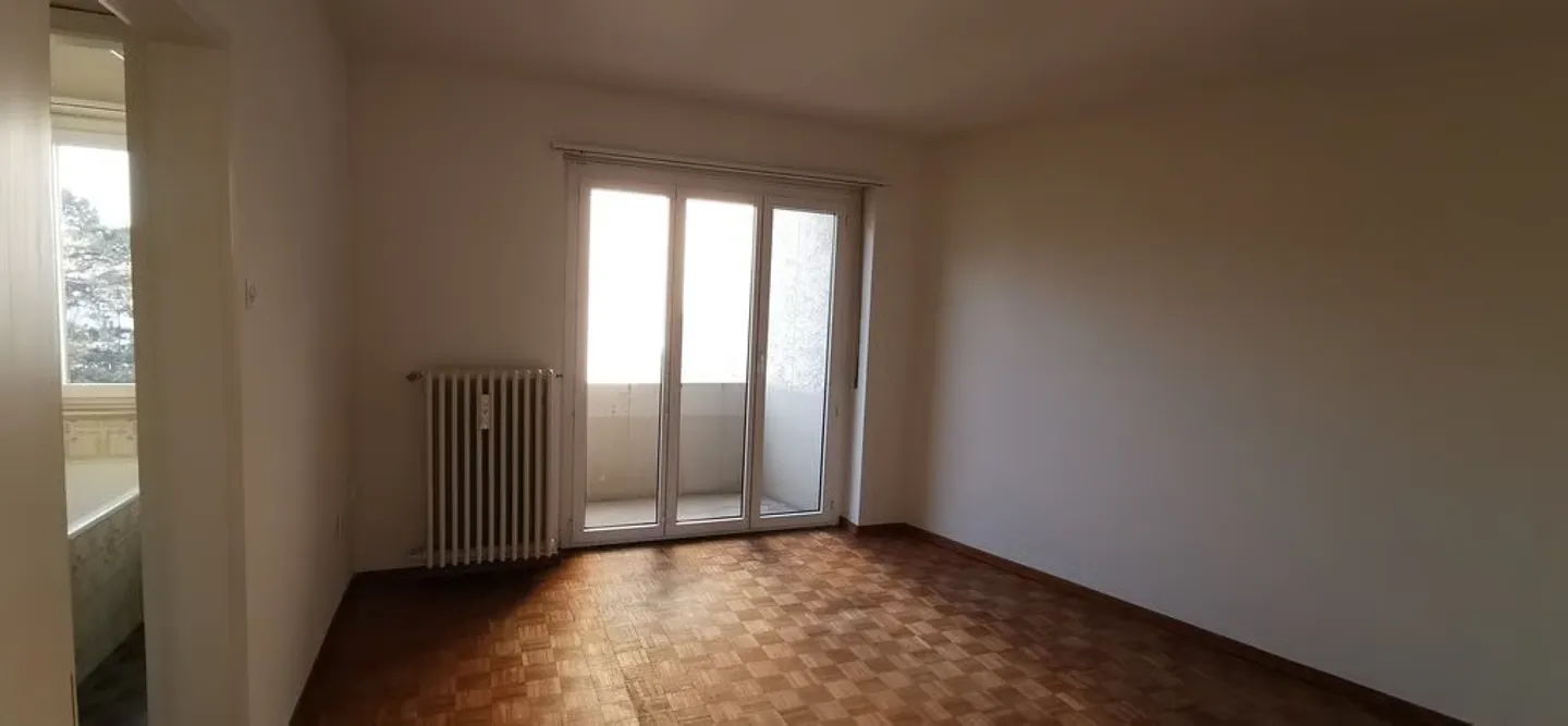 Vivere vicino alla città e al Reno - Foto 2 di 8