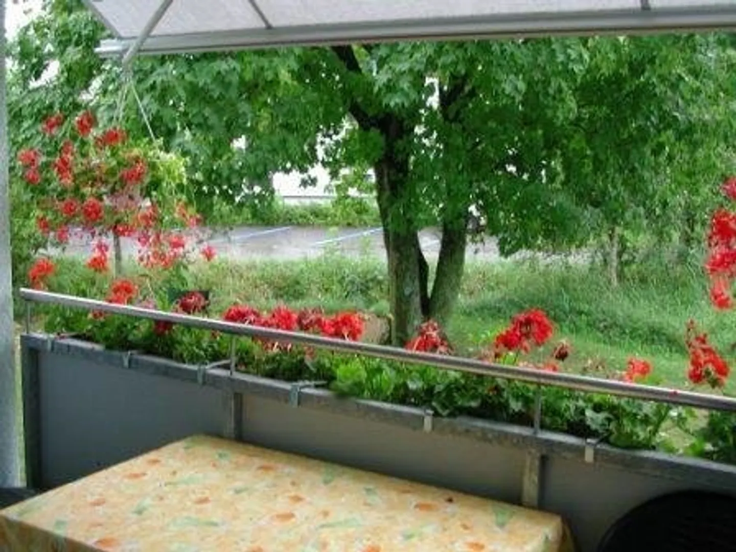 Helle 4.5-Zimmer-Wohnung - Foto 7 von 7