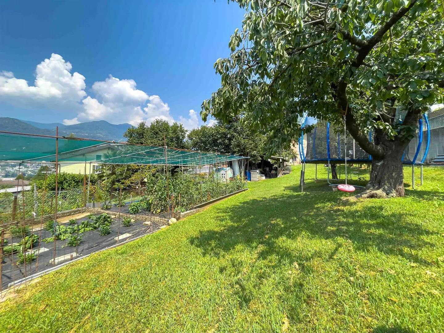 Building land for real estate operation in Cadempino - Photo 1 of 5