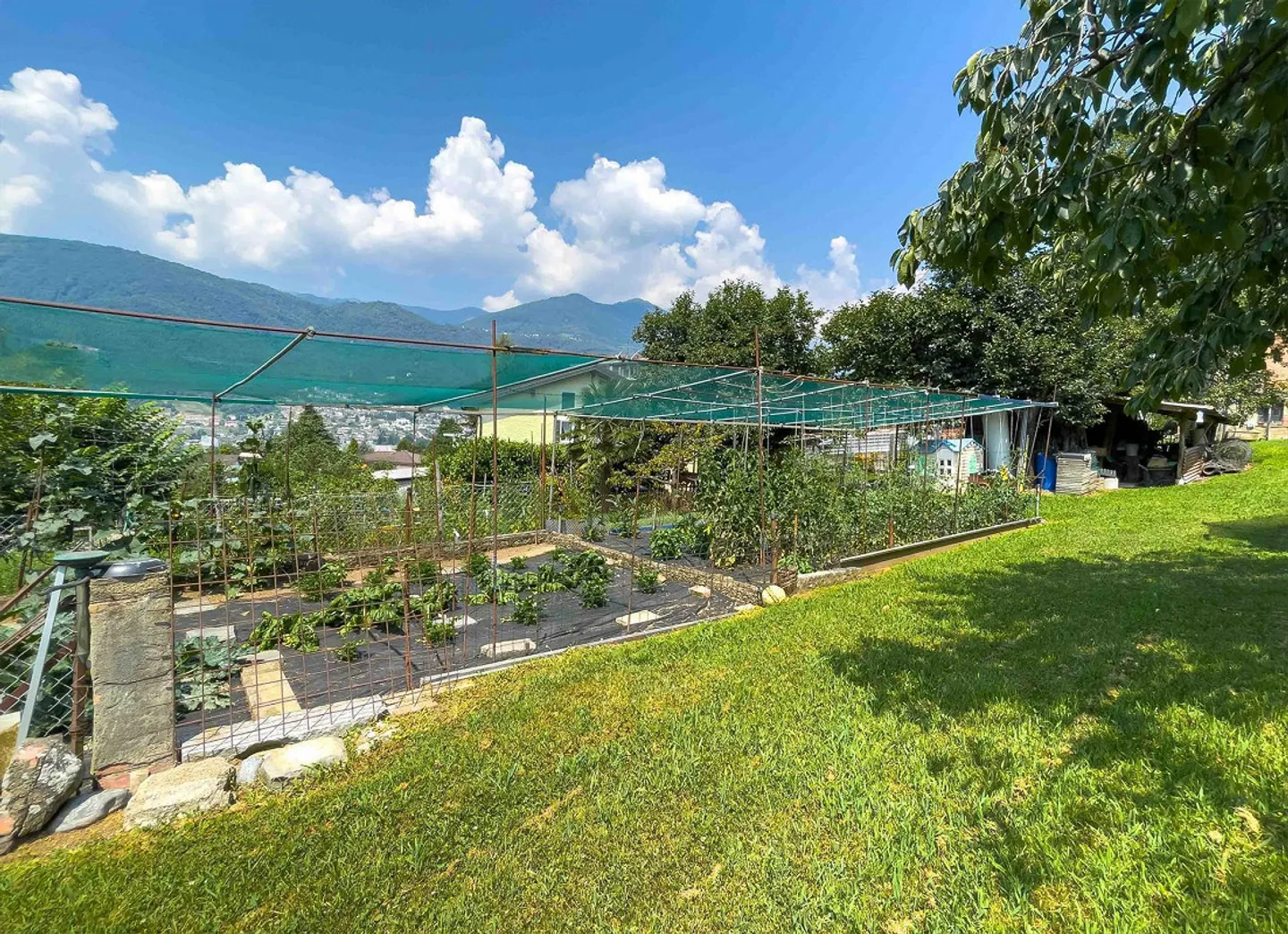 Building land for real estate operation in Cadempino - Photo 2 of 5