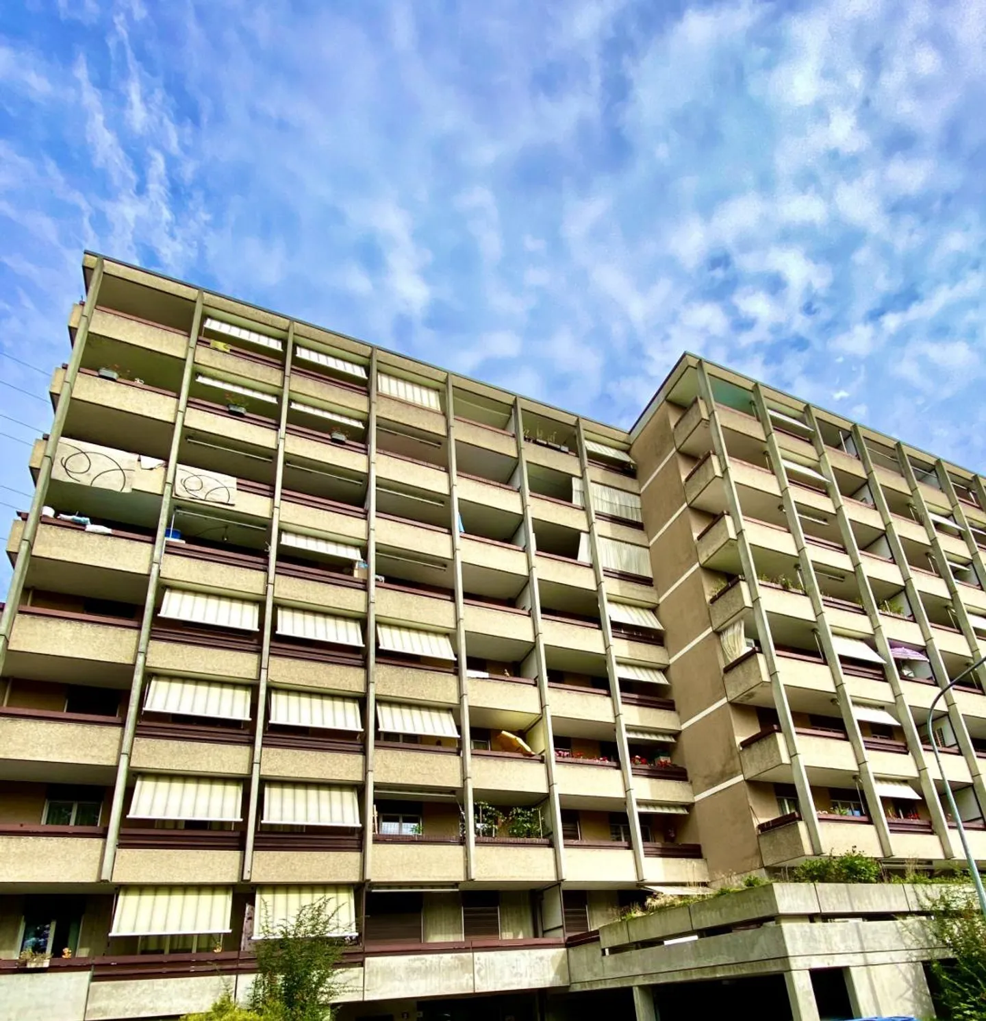 Parco Interno - Foto 1 di 1